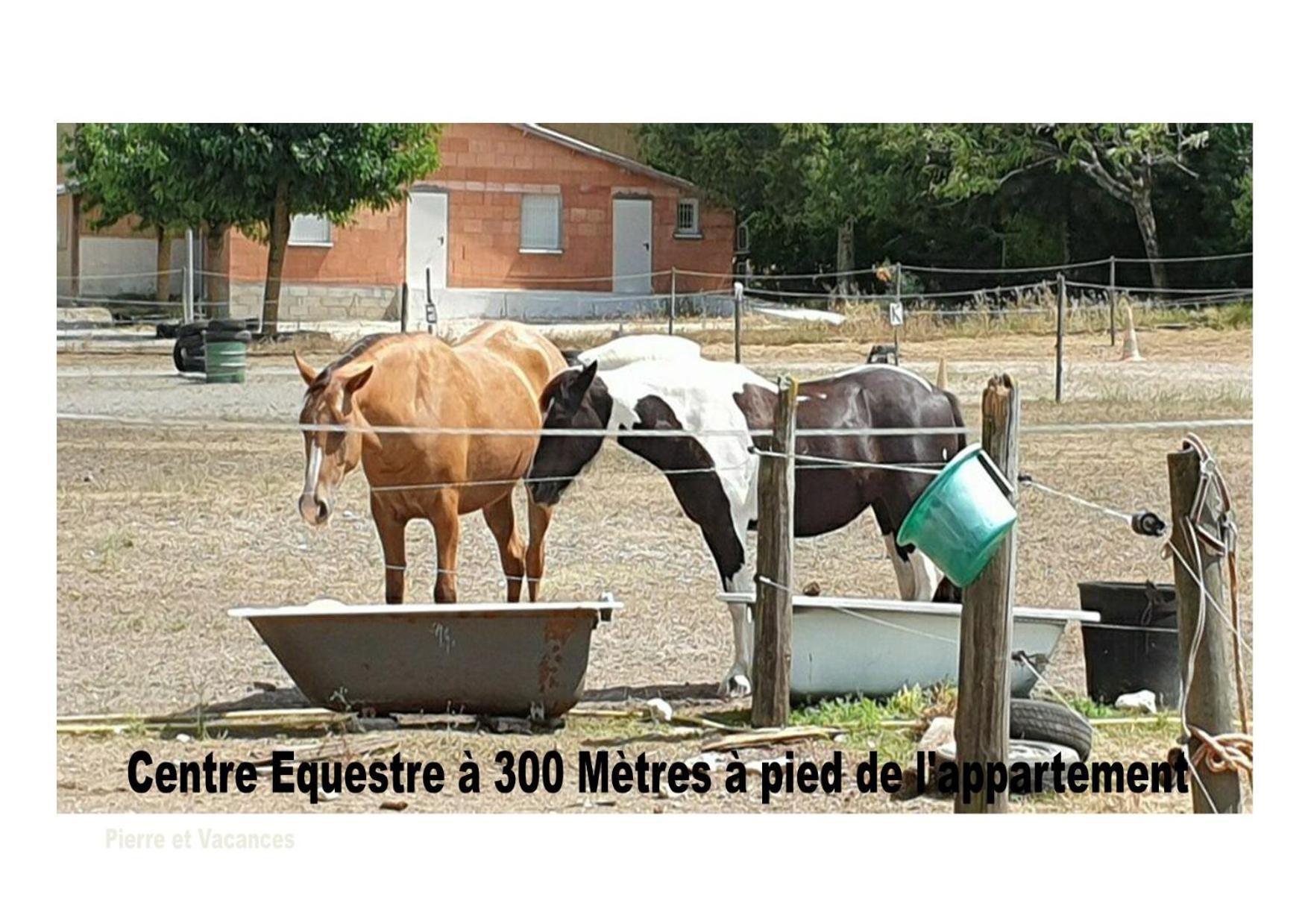 Charmant Appartement Avec Piscine. Monflanquin Exterior foto
